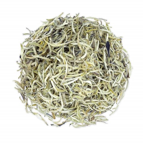 Silver tips white tea